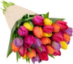 30 Stem Rainbow Tulips Bouquet - Fresh Cut Flower, Hand-Tied in the USA, Gift for Birthday, Anniversary, Sympathy or Home Decor - Vase Not Included - Image 2