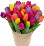 30 Stem Rainbow Tulips Bouquet - Fresh Cut Flower, Hand-Tied in the USA, Gift for Birthday, Anniversary, Sympathy or Home Decor - Vase Not Included