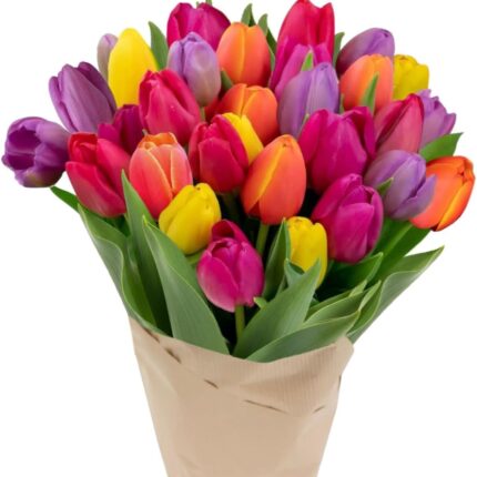 30 Stem Rainbow Tulips Bouquet - Fresh Cut Flower, Hand-Tied in the USA, Gift for Birthday, Anniversary, Sympathy or Home Decor - Vase Not Included