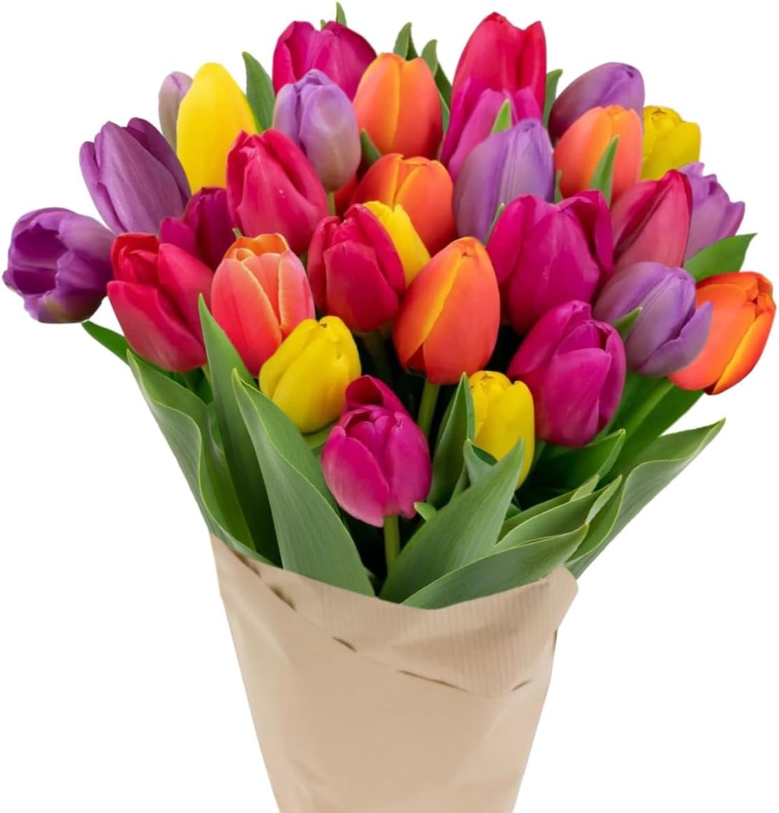 61gZEbLpNoL._AC_SL1234_.jpg 30 Stem Rainbow Tulips Bouquet - Fresh Cut Flower, Hand-Tied in the USA, Gift for Birthday, Anniversary, Sympathy or Home Decor - Vase Not Included - Image 1