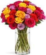 MultiColored Real Roses Bouquet - Two Dozen Rainbow Roses, 25 Long Stems, Long Lasting & Hand-Tied Flower Arrangement, Farm Fresh Flowers Bouquet, Live Floral Arrangement for Gift | No Vase