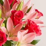 Magnificent Pink Roses & Asiatic Lily Single Bouquet (Clear Pink Vase Included) | Fresh Cut Spring Flowers|Gift for Spring, Anniversary, Sympathy, and Special Occasions - Image 2