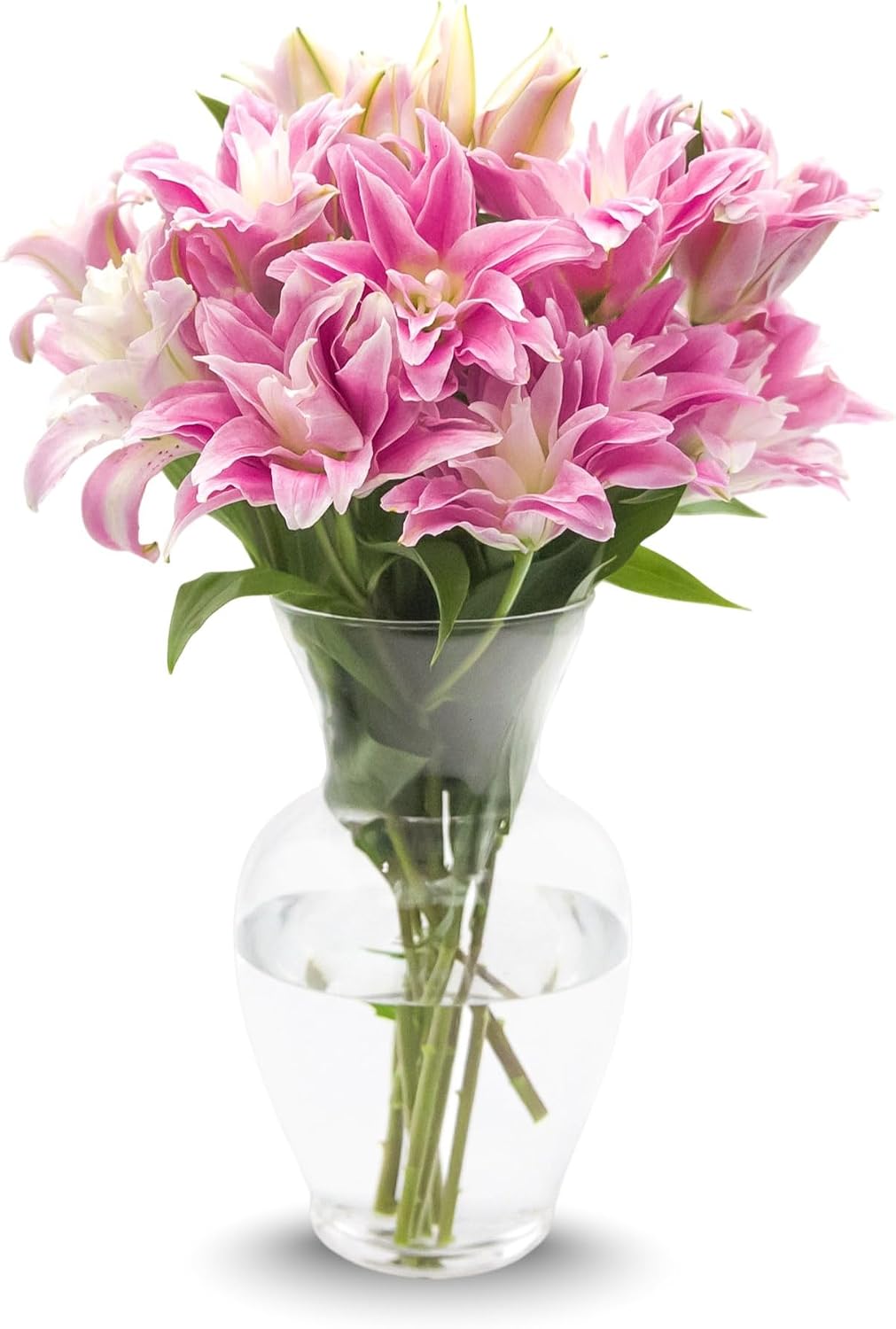 61pBlyNDXAL._AC_SL1500_.jpg 10 Stem Rose Lily Bouquet with Vase - Fresh Cut Flower, Hand-Tied in the USA, Gift for Birthday, Anniversary, Sympathy or Home Decor - Image 1