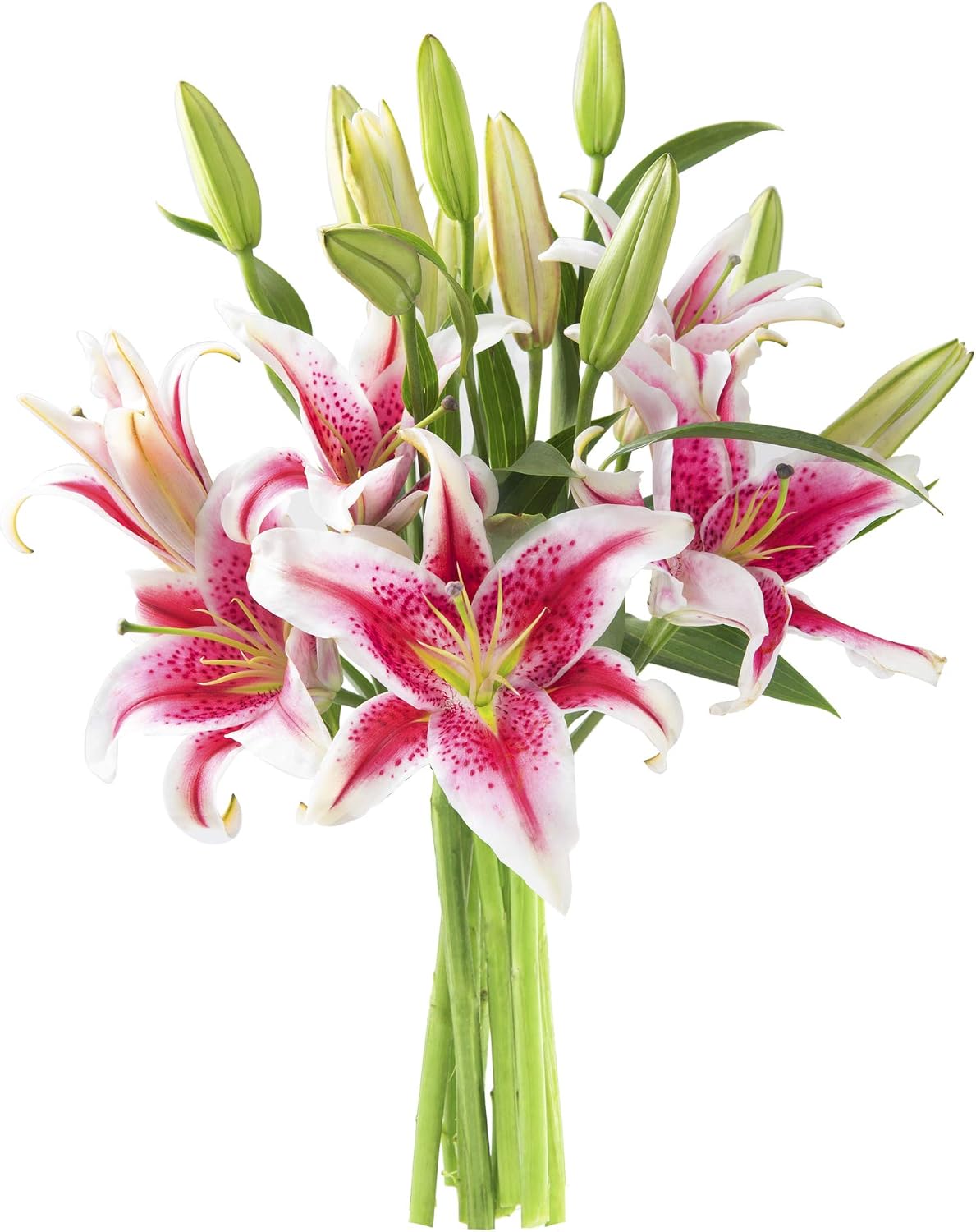 71wk3sR10JL._AC_SL1500_.jpg 5 Pink Stargazer Lily Bouquet, Flowers for Valentine, Mother's Day - Image 1