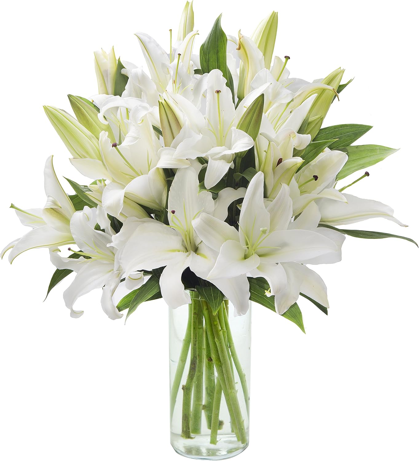 81NnJ5emYXL._AC_SL1500_.jpg 10 White Lily Bouquet, Flowers for Valentine, Mother's Day - Image 1